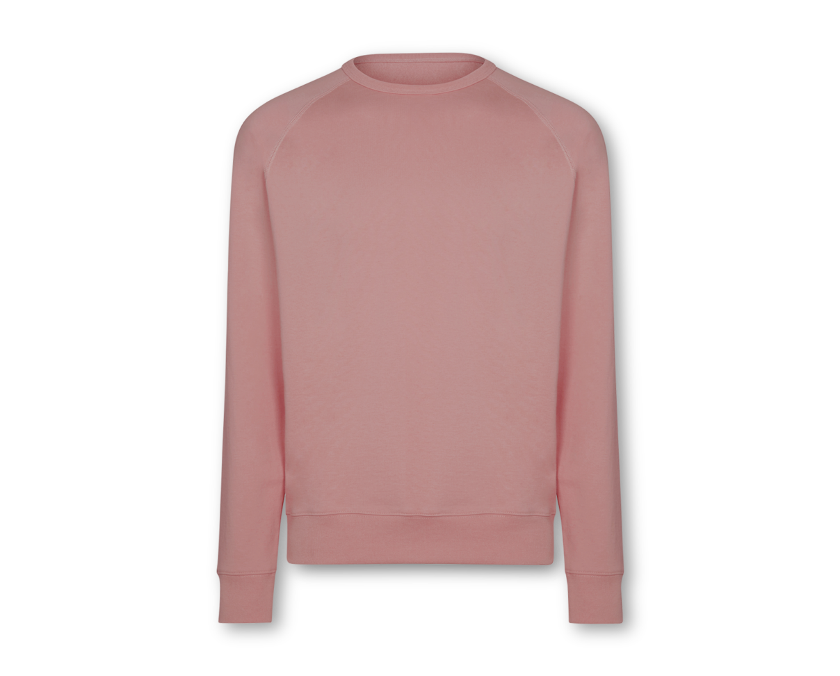 Pink Sandpiper Raglan Sweatshirt